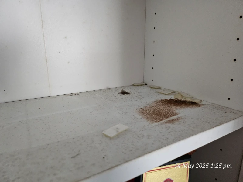 aresix-post-renovation-cleaning-after-selangor-kl-05